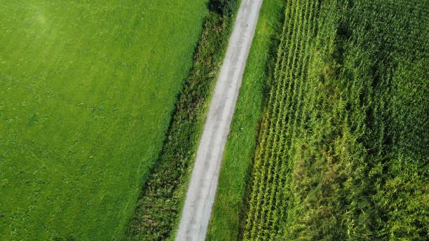 istock Green Field Road Germany Summer 1338264150