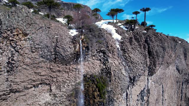 Thaw waterfall next to Araucarias (Pehuen), in the Andes Mountains.