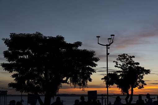 Salvador, Bahia, Brazil - June 11, 2021: Silhouette of trees and a lamppost in Castro Alves square in Salvador, Bahia.
