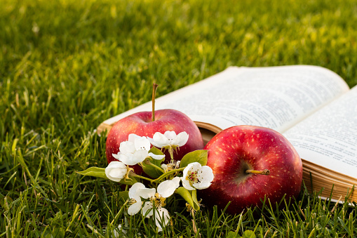 Open book on green grass with fresh red apples and a pear flower.