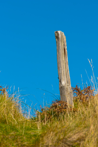Dried out and wind blown wooden fence post against a blue sky, situated above the burn Allt Cuairteach on the north side of Camusdarach (An Camus Darach) beach, Lochabar, Highland Region, Scotland. 56