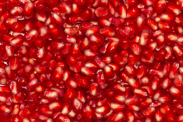 istock Closeup shot of rose-hip berries 133826989