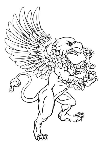 Griffin Rampant Gryphon Coat Of Arms Crest Mascot A griffin also known as a gryphon or griffon with lion body, wings and eagle head. Rampant standing on hind legs coat of arms crest mascot bills lions stock illustrations