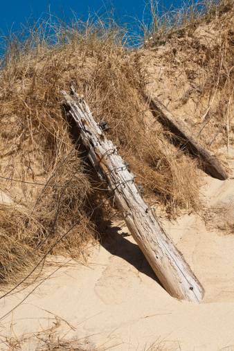 Old desiccated fence posts dislodged by the moving sand dunes in the middle of Traigh an Taoibh Thuath. 57