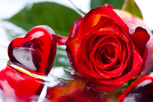 istock Rose with heart for love 133827454