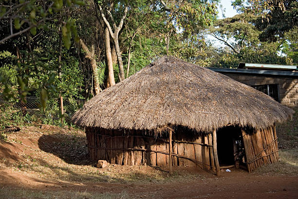 istock house  africa 133827519