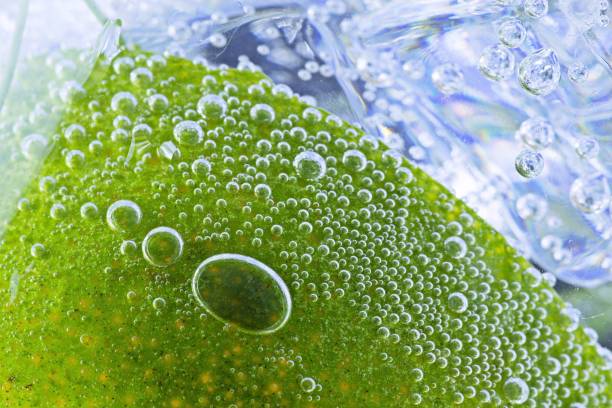 istock Orange with bubbles in cold carbonated drink. 1338275786