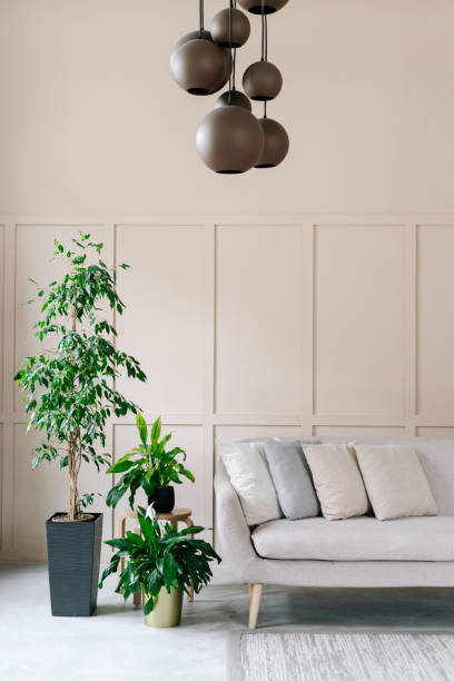 istock Decor in home interior, living room with sofa. 1338278862