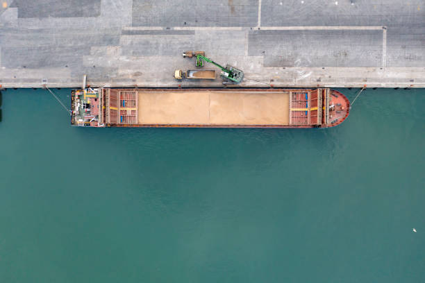 Aerial view of a large cargo ship unloading grain. Top view of a large cargo ship loading or unloading grain. Sea transportation. Truck carrying grain black sea photos stock pictures, royalty-free photos & images