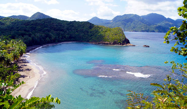 istock North Coast, Dominica Island 1338281699