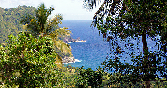With beautiful landscapes and fishing villages, the southern part of Dominica, has 2 outstanding environments: the coastal area with Champagne Reef as a diving place and the inland mountain area that has the National Park 