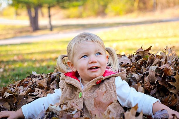 istock Little Girl Sitting In Fall Leaves 133828422