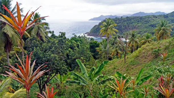 With beautiful landscapes and fishing villages, the southern part of Dominica, has 2 outstanding environments: the coastal area with Champagne Reef as a diving place and the inland mountain area that has the National Park "Morne Trois Pitons" in which hiking is the main activity.