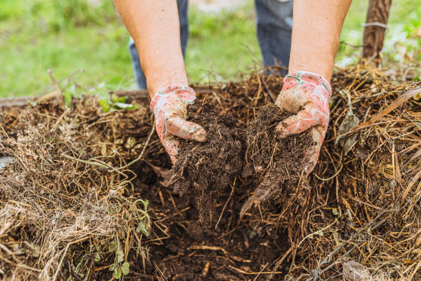 Composting organic waste. composting everyday food waste and turning it into enriched soil
