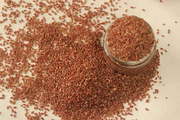 Navara rice is one of the many types of rice found in India, with a unique red color. It is from Kerala and It is the main ingredient of karkidaka kanji because of its medicinal values.