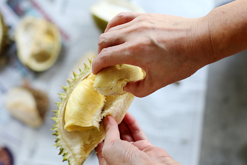 Human hand attempting to take durian fruit.