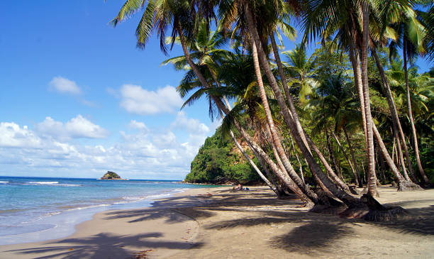istock Batibou Beach, North Coast, Dominica Island 1338285707