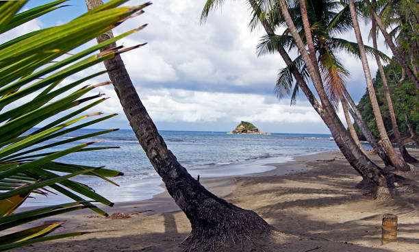 istock Batibou Beach, North Coast, Dominica Island 1338286752