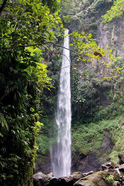 istock Sari Sari Falls, Isla Dominica 1338288550