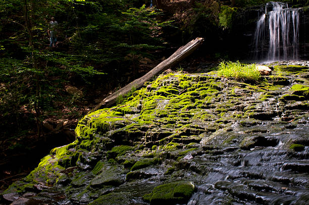 mossy cascade - mohawk valley photos et images de collection