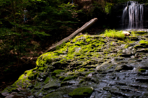 A section of Mohawk Falls in Ricketts Glen State Park, PA.