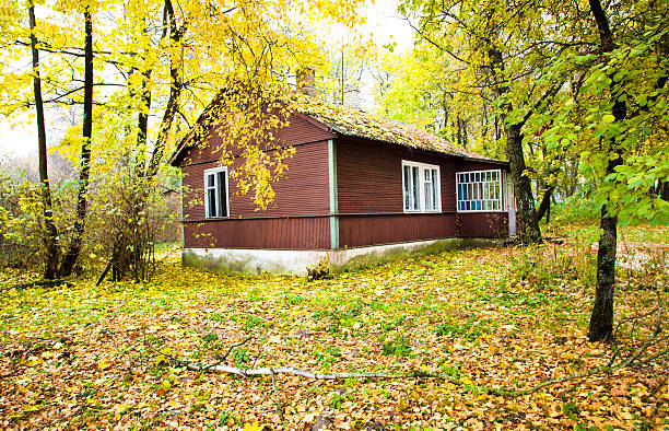 dom w lesie - forest hut window autumn zdjęcia i obrazy z banku zdjęć