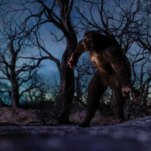 Illustration of a werewolf during the night in the creepy forest - 3d rendering