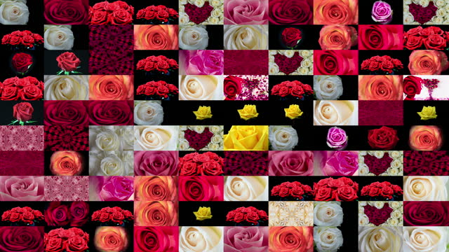 Blooming Roses Film Quilt
