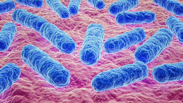 istock bacteria colony micrography close-up 3D rendering illustration. Microbiology, biology, disease, science, healthcare, medicine, infection concepts. 1338313581