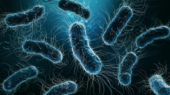 Ilustración de renderizado 3D de colonia de bacterias en primer plano sobre fondo azul. Microbiología, medicina, biología, ciencia, medicina, infección, conceptos de enfermedad. photo