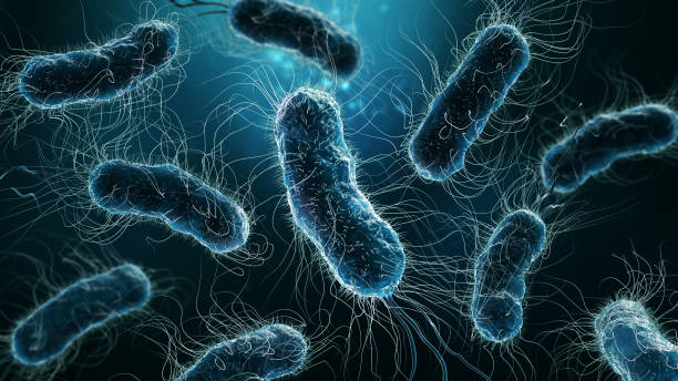 ilustración de renderizado 3d de colonia de bacterias en primer plano sobre fondo azul. microbiología, medicina, biología, ciencia, medicina, infección, conceptos de enfermedad. - probiótico fotografías e imágenes de stock