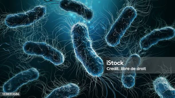 Colony Of Bacteria Closeup 3d Rendering Illustration On Blue Background Microbiology Medical Biology Science Medicine Infection Disease Concepts Stock Photo - Download Image Now