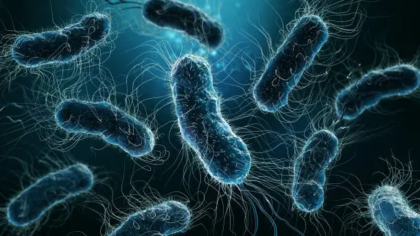 Photo of Colony of bacteria close-up 3D rendering illustration on blue background. Microbiology, medical, biology, science, medicine, infection, disease concepts.