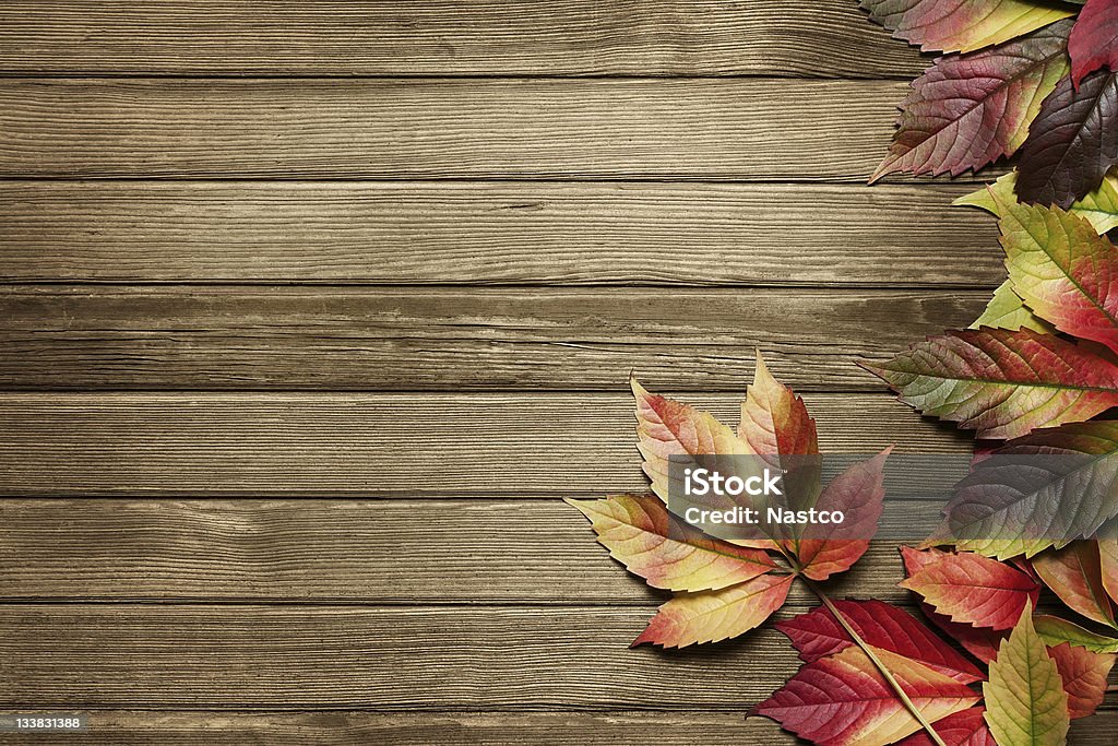 Autumn background with copy space Autumn leaves over wooden background with copy space Autumn Stock Photo