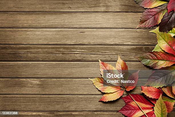 Autumn Background With Copy Space Stock Photo - Download Image Now - Autumn, Leaf, Wood - Material