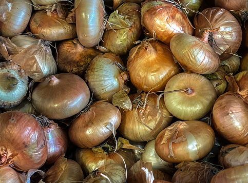 close up of a retail display of a pile of organically grown cipollini onions for sale at a farmer's market, Long Island, New York