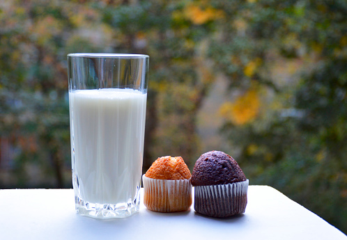breakfast is prepared on a blurred background of green foliage: a glass of milk and chocolate and vanilla muffins. the concept of a delicious and healthy breakfast