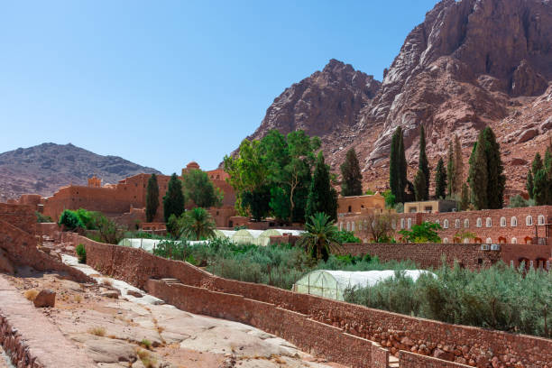 istock Egypt, Catherine's monastery on a bright sunny day, mountain view 1338320399