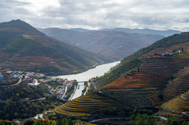 istock Panoramic view on Douro river valley and colorful hilly stair step terraced vineyards in autumn, wine making industry in Portugal 1338321748