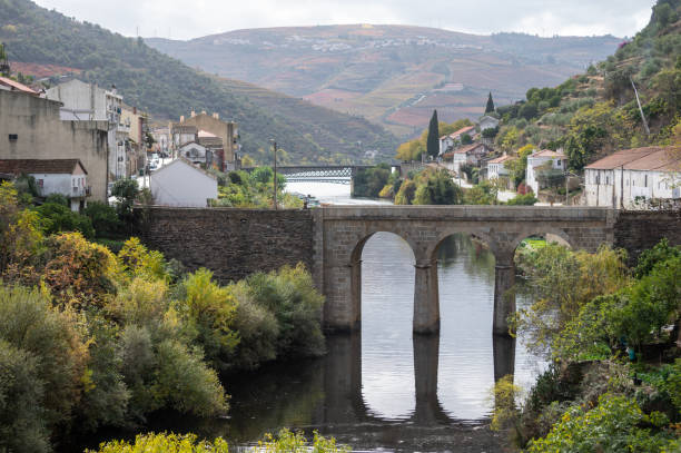 istock Panoramic view on Douro river valley and colorful hilly stair step terraced vineyards in autumn, wine making industry in Portugal 1338321755