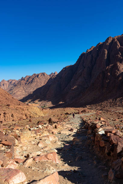 istock Egypt, trail to Mount Moses on a bright sunny day, mountain view 1338322977