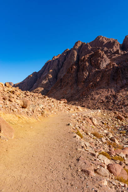 istock Egypt, trail to Mount Moses on a bright sunny day, mountain view 1338323568