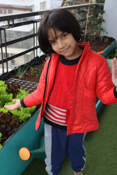 close-up image of young, indian girl stood beside raised vegetable garden beds with red and green coral lettuce leaves, lollo bionda (pale green), lollo rosso (red), pigeon anti-bird netting, looking at camera - lollo bionda lettuce imagens e fotografias de stock