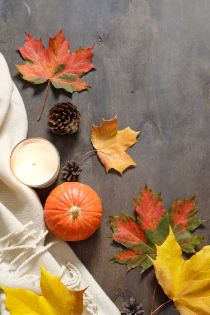 istock Autumn mood composition. Fallen colorful maple leaves, pumpkins, warm blanket, candle and pine cones on dark wooden table background. Happy Thanksgiving, autumn. Flat lay, top view, copy space. 1338344193