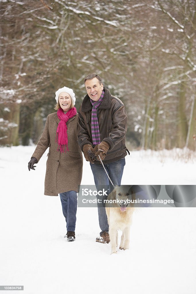 Altes Paar gehen Hund durch verschneite Wälder - Lizenzfrei Winter Stock-Foto