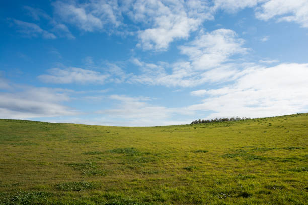 istock Autumn green meadow and sky with clouds 1338349096