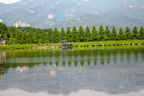 Reflecting Seoul Grand Park