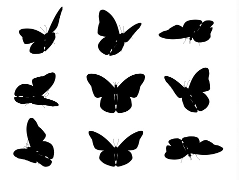High resolution Butterfly silhouettes isolated on white background. Clipping path included.
