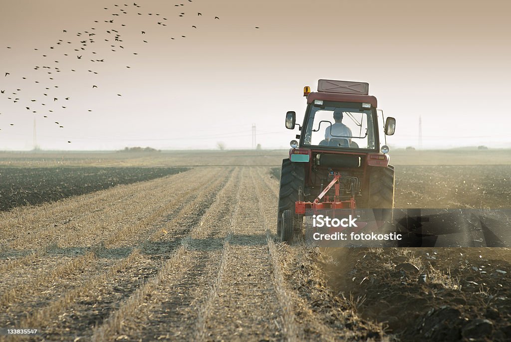 Homme en rouge tracteur plows field avec des oiseaux dans le ciel - Photo de Tracteur libre de droits