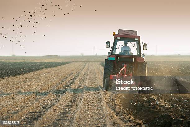 Photo libre de droit de Homme En Rouge Tracteur Plows Field Avec Des Oiseaux Dans Le Ciel banque d'images et plus d'images libres de droit de Tracteur